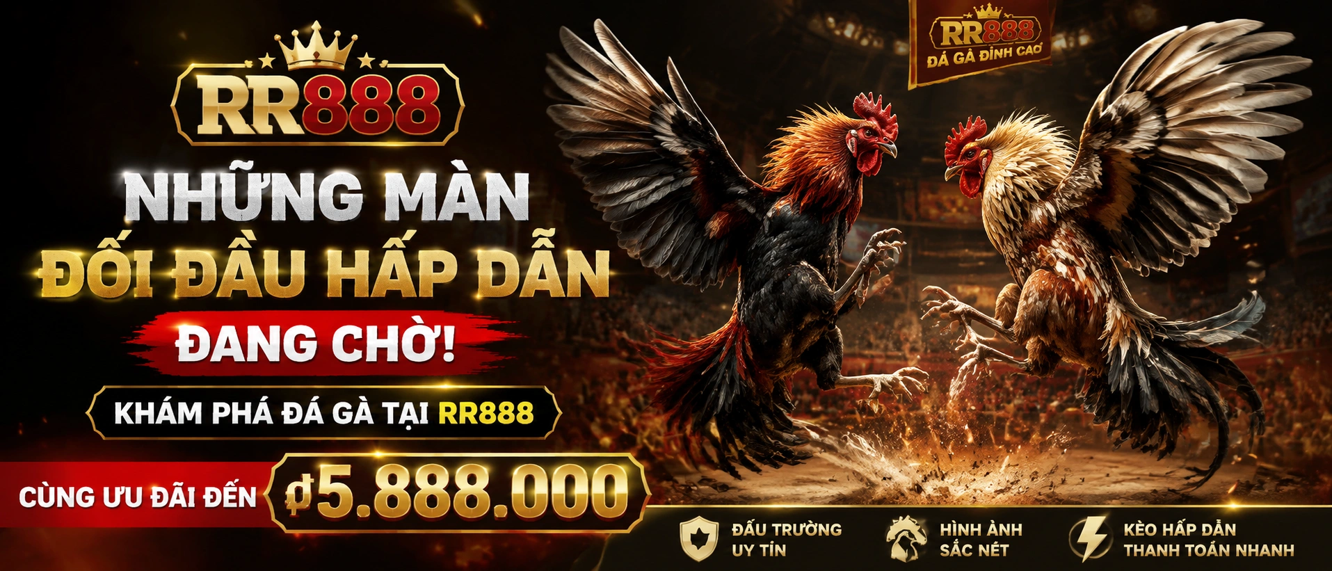 Đá Gà Trực Tiếp live content